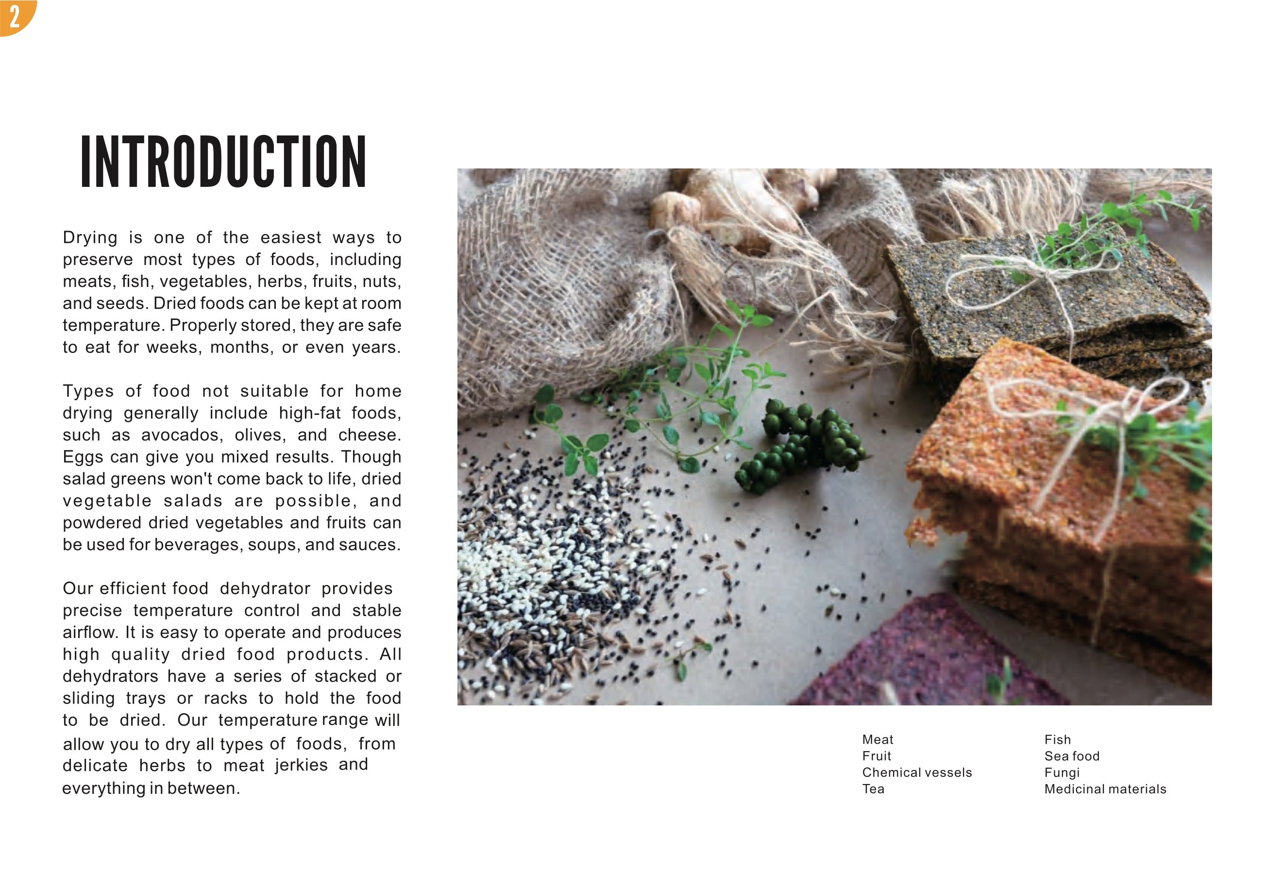 Food Dehydrator Recipes page 2: Introduction