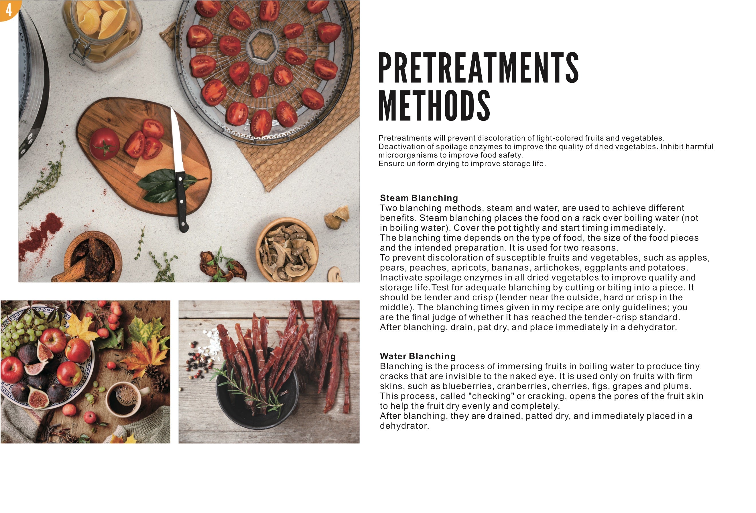 Food Dehydrator Recipes page 4: Pretreatments Methods