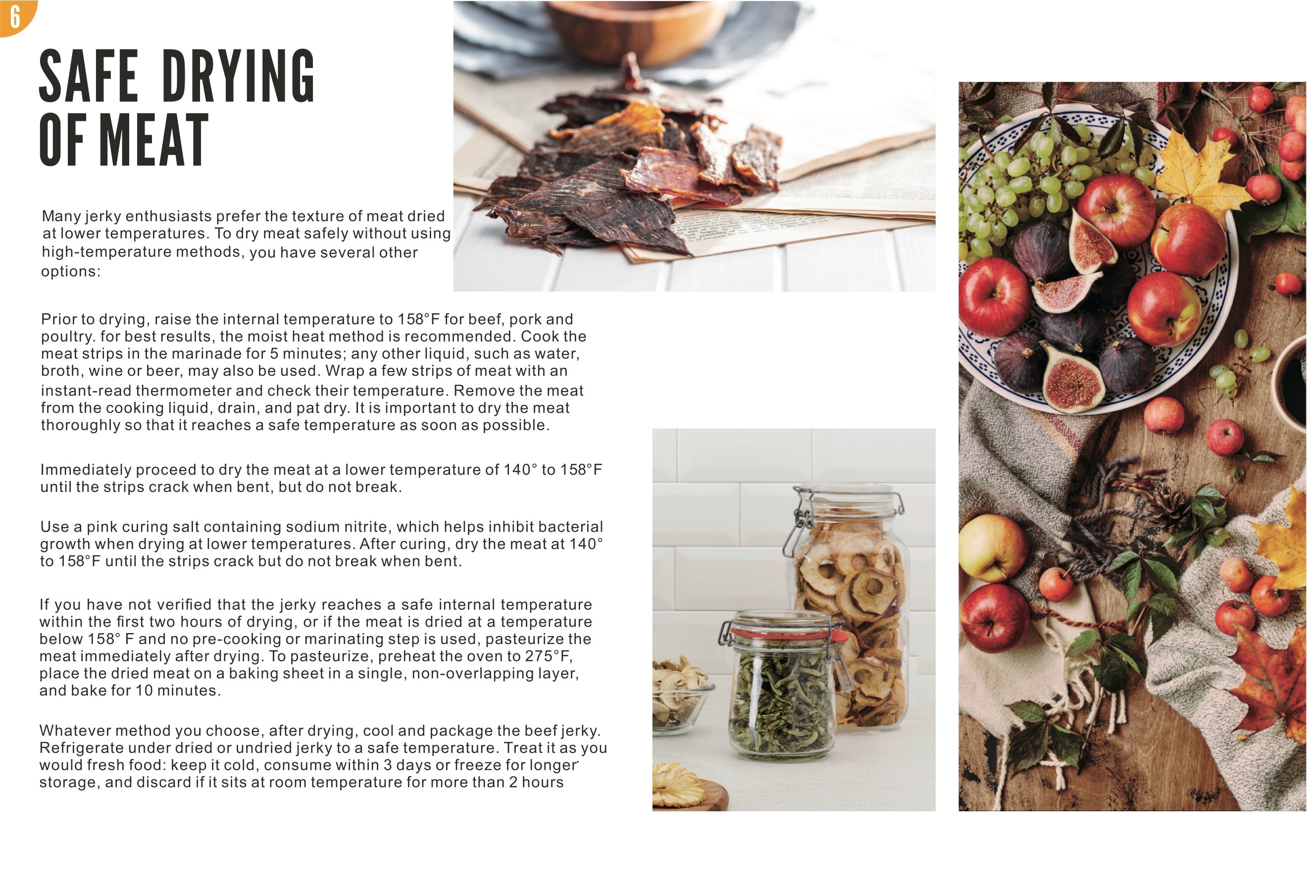 Food Dehydrator Recipes page 6: Safe Drying of Meat