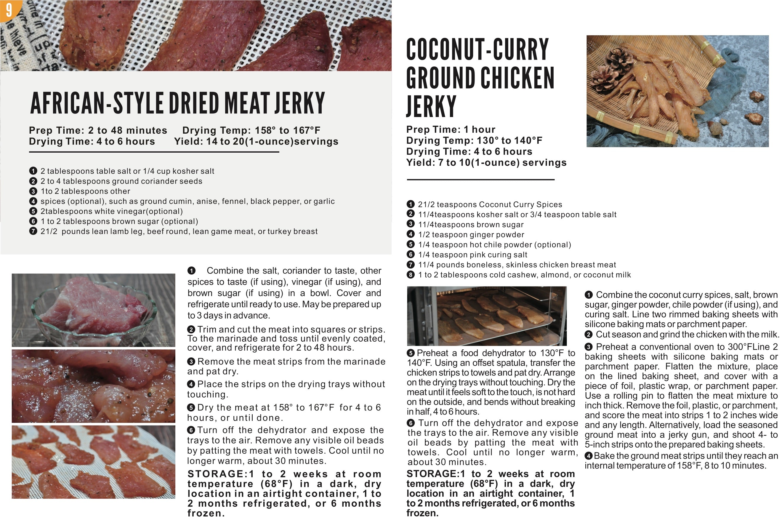 Food Dehydrator Recipes page 9: Jerkies