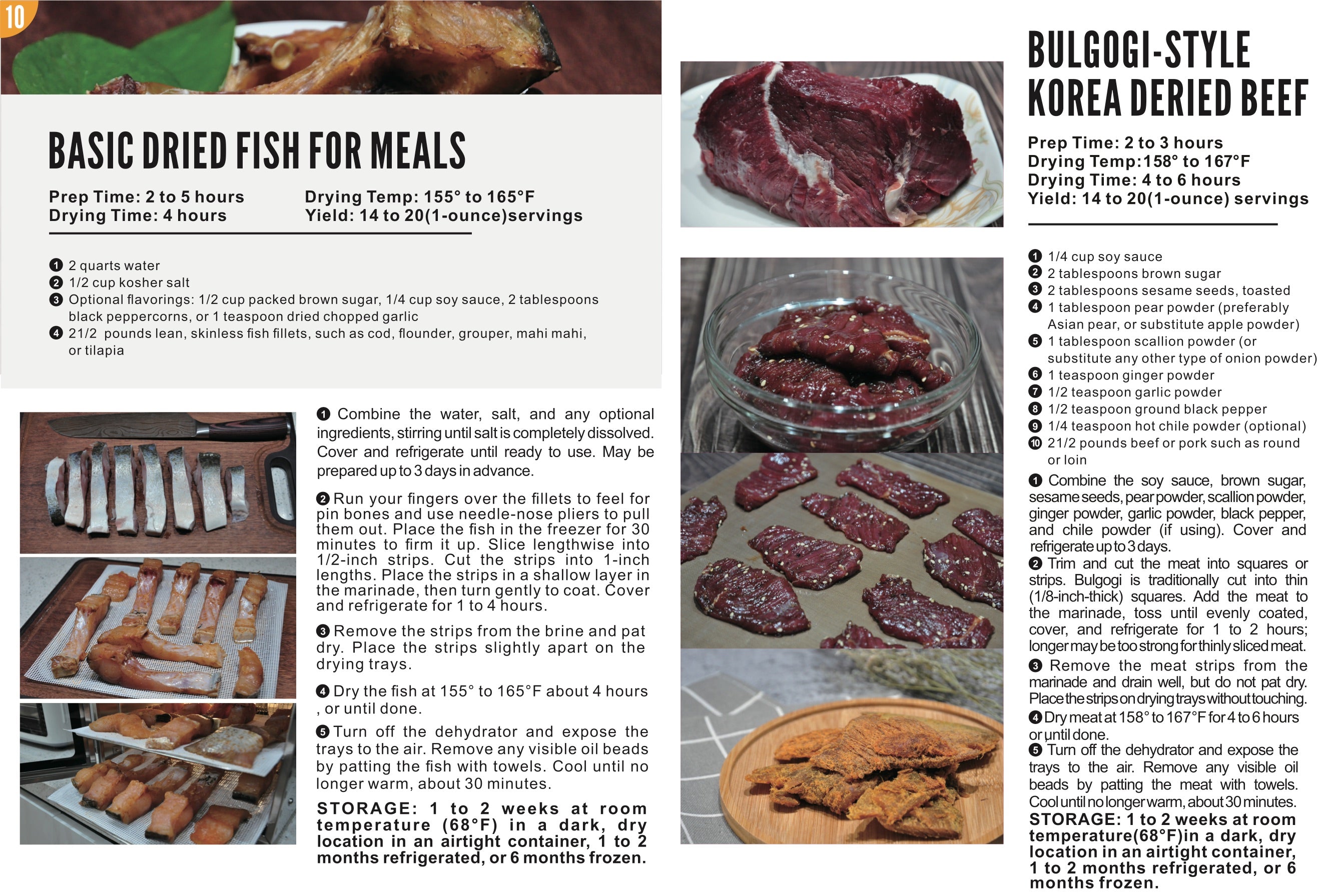 Food Dehydrator Recipes page 10: Fish and Korean Dried Beef
